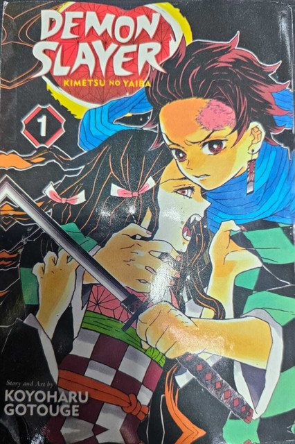 Demon Slayer: Kimetsu no Yaiba, Vol. 1: Buy Demon Slayer: Kimetsu