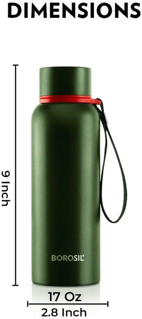 BOROSIL 500 ml Steel Flask