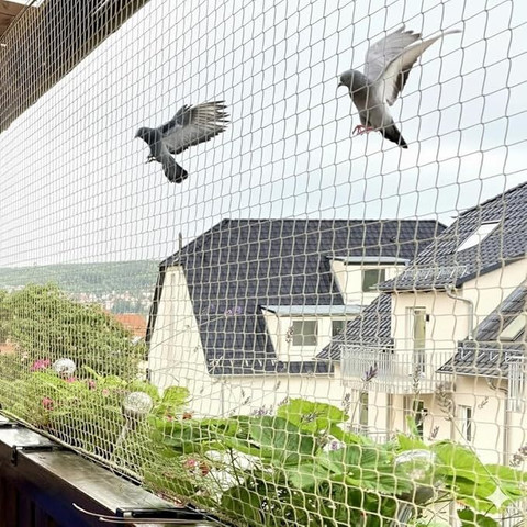 Bird net installation