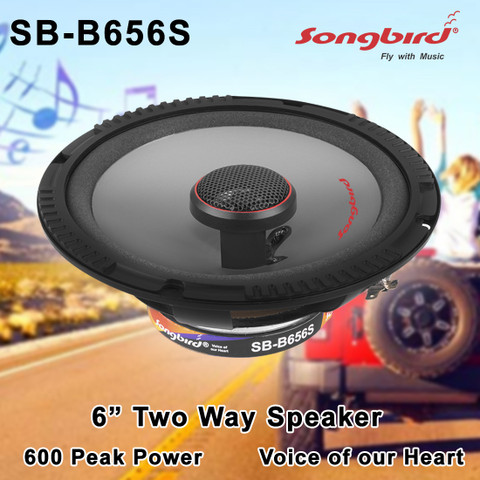 songbird INCH Max WAY DOOR SPEAKER WITH INBUILT TWEETER