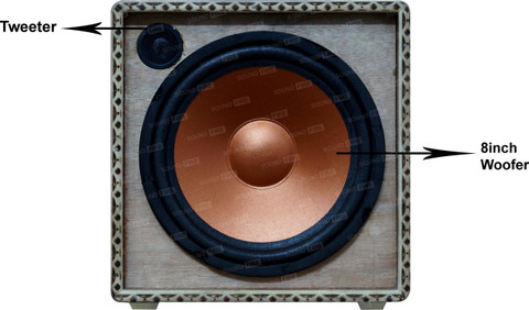 SOUND FIRE SFX8 8'Inch 240W MAX Woofer with Wooden column (pack of