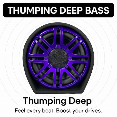 ZESSQAA ZQ-1001BST-Purple 10 Inch Active Car Bass Tube | Inbuilt