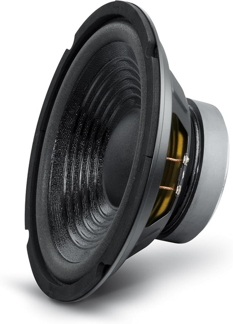 TECH-LOBBY 10 Inch Speaker 100W RMS ohm Full Range Audio Speaker