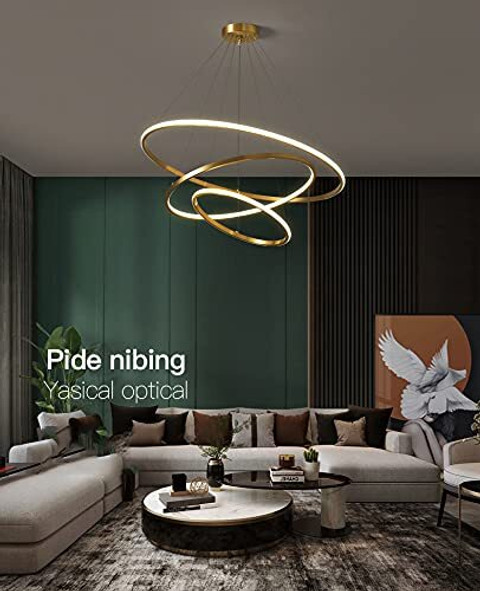 HDC modern ring light gold chandelier in colour modes for