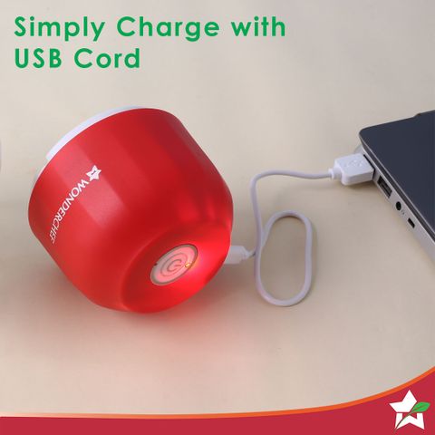 rose toy won't charge How Long Does a Rose Toy Take to Charge? Full Guide – RoseToy main image 0