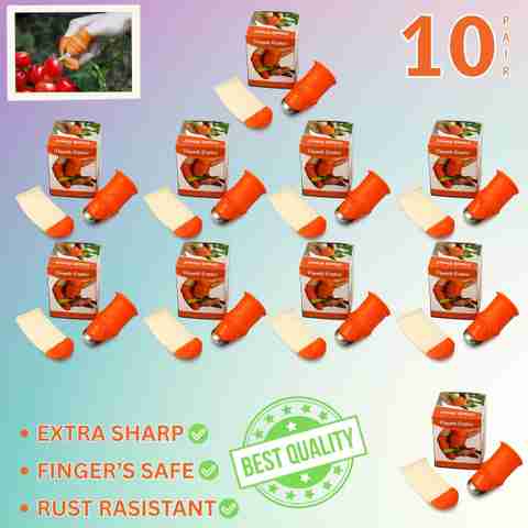 TruSwag FINGER SAFE ZX97 Vegetable & Fruit Chopper Price in India
