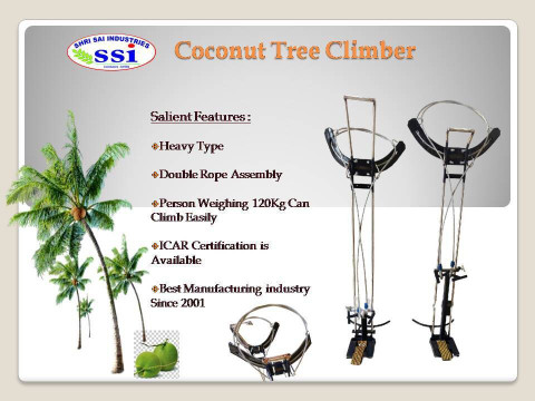 SBI PALM TREE CLIMBER ALL ASS 2008 Climbing Hold