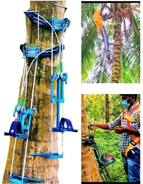 SARA Coconut tree climber with Full body Safety Belt 100% Safe