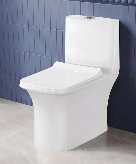 Eden /S TRAP/22cm OR 9inch/ Rimless/ 5D Swirl Siphonic Flush/Floor