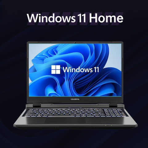 Colorful P15 Intel Core i7 13th Gen 13620H - (16 GB/512 GB SSD