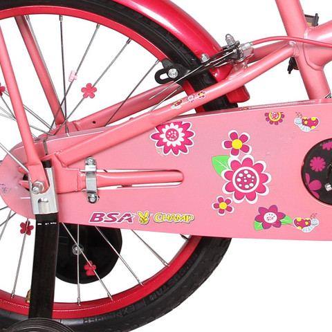 BSA Champ flora Single Speed 20 T (inch) Recreation Cycle Price in