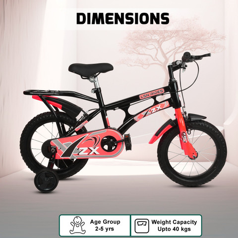 14インチ BMX ARES_14GY.jpg?cmsp_timestamp=