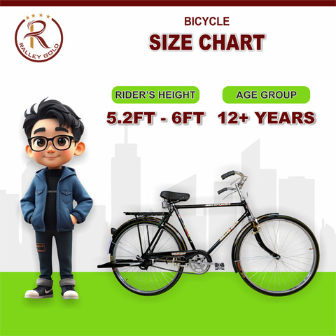 Rally Popular 22 Inch Men's Full Size Bicycle with Carrier, Stand