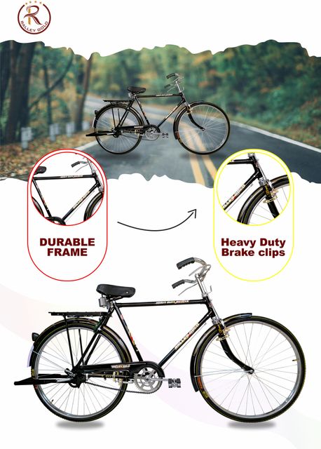 Rally Popular 22 Inch Men's Full Size Bicycle with Carrier, Stand and ...