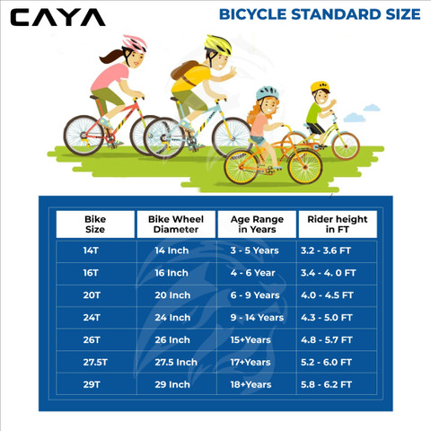 Height 16 Bicycle Age Range CAYA Aviator 16