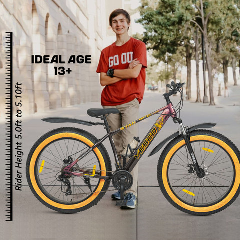 Vesco Cycle For Men And Women 26T Bella Pink Bicycle For Girls Women