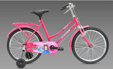 20 Inch Tata Cycle For Kids Tata Stryder Princess Roadstar Kids