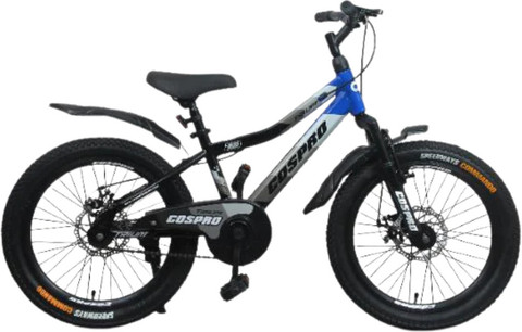 Cospro Fun Cycle COSPRO 20 TRIUM SS FS D/DISC BICYCLE 20 T (inch