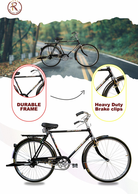 Ralley Gold 28T Vintage/Desi Men's Bicycle (22 Inch Frame) with  Carrier,Stand and Lock 26 T (inch) Road Cycle