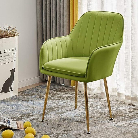 Roxigo Velvet Dining Chairs, Cushion Seat Chair for Living Room Bedroom  Restaurant Fabric Dining Chair