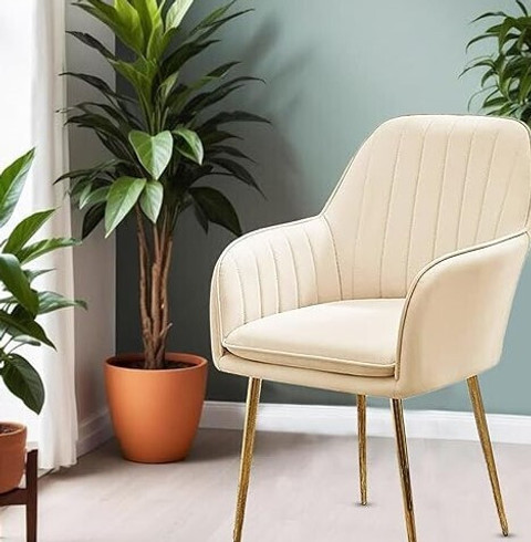 BHAGYA Velvet Dining Chairs, Cushion Seat Chair for Living Room Restaurant  Off White Solid Wood Dining Chair