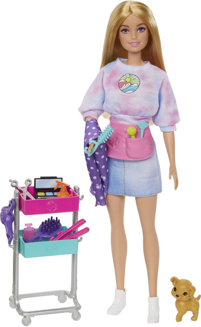 BARBIE Malibu Stylist Doll Playset, Hair Makeup Theme with Puppy  Styling Cart - Main Image