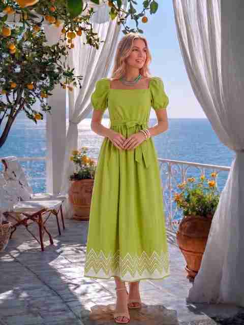 light green fit and flare dress AAYU Women Maxi/Full Length Paillette embellished mini dress