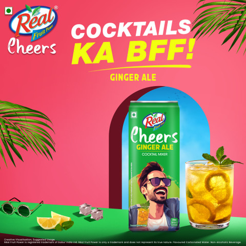 Real Cheers Ginger Ale - Cocktail Mixer Carbonated Beverage Price
