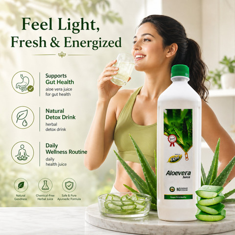 kleine aloe vera Aloe vera | Sukkulente main image 0