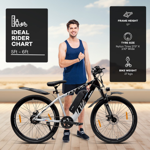 にゃーお 51bgi1P4FKL._AC_UY300_.jpg