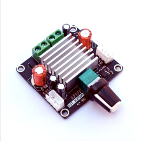 IOTaudios IOT-100s 100W Subwoofer Amplifier Board Home Theater