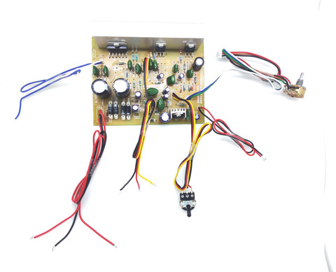 TECH AND TRADE Tda7265 and 2030IC amplifier BOARD with supreme