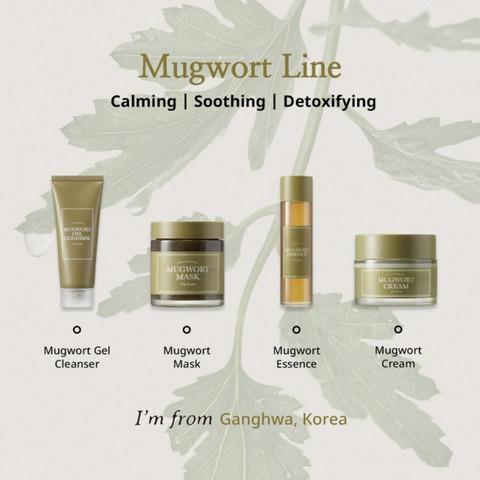 Mugwort スキンケアセット I'm From Mugwort Mask - 30g | Nourishing & Revitalizing Facial