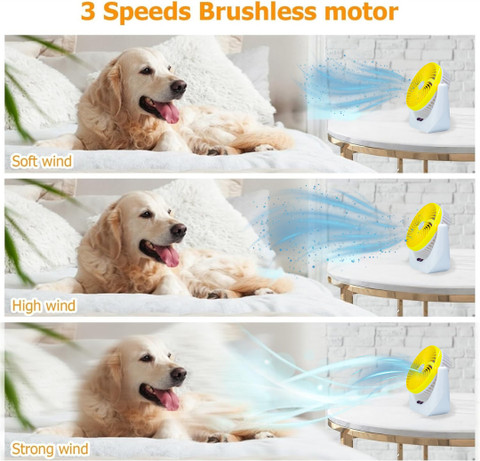 Buy Products Online at Best Price in India - All Categories