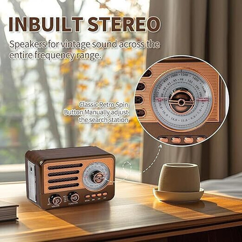 CASON FR22 Fm Radio for Home with Speaker,Vintage Radio with USB