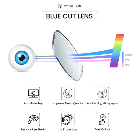 ROYAL SON Full Rim Round Frame