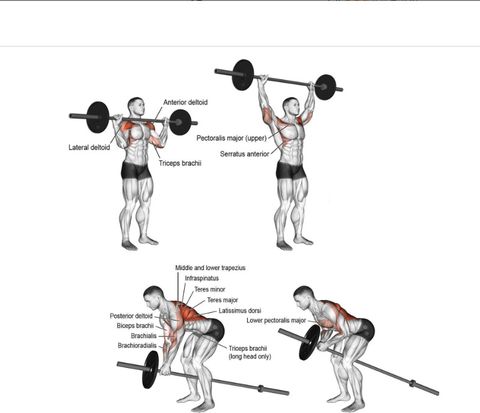 BELLATRIX X 20kg Dumbbell Kit with 3ft Rod & Accessories - Image 8