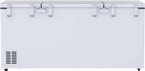 Godrej 600 L Triple Door Standard Deep Freezer Price in India