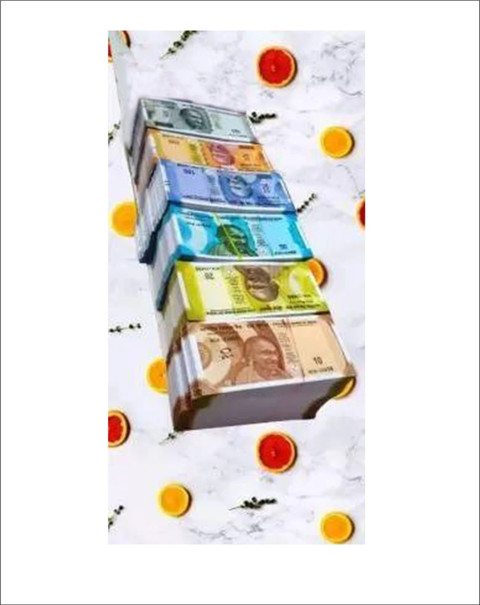 VROO (33 Each x 7=231 Nakli Note) Playing Indian Currency Notes
