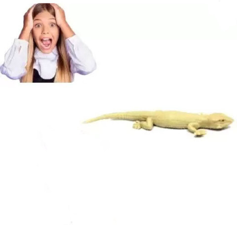 Childgossip 1Pcs Fake Lizard Toys Realistic Fake Lizards Toys Artificial  Lizard Gag Toy Rubber Lizard Prank Toy Gag Toy