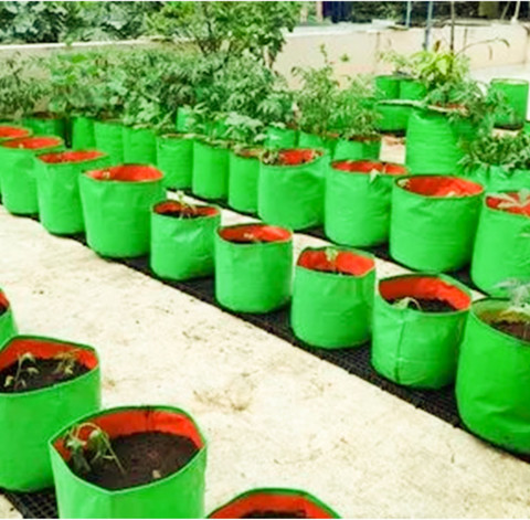 heliland grow bags for gardening, tree plant plastic bag, types