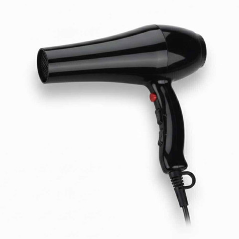 Dazyy Professional Hair Dryer for Home Styling Needs Hair Dryer