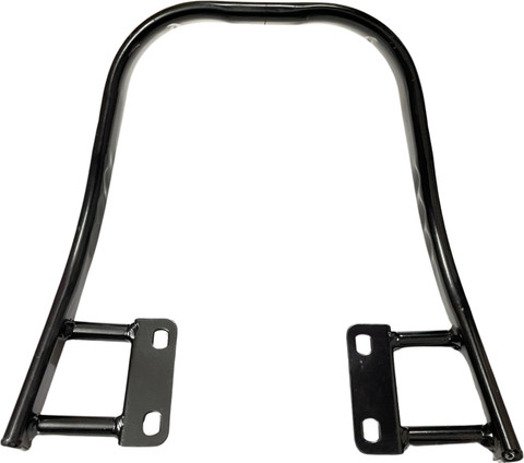 Digital Craft Rear Seat Handle Backrest Compatible for Splendor