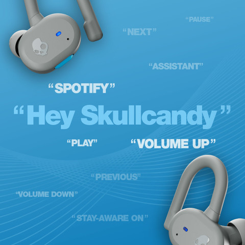 Skullcandy Push Active Wireless Earbuds, 43 Hr Battery, Skull-iQ, Alexa  Enabled, Microphone Bluetooth