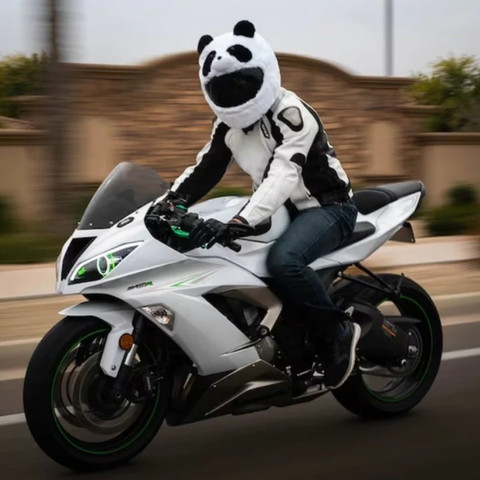 SRPHERE Panda Motorcycle Helmet Cover Motorbike Funny Crazy Case