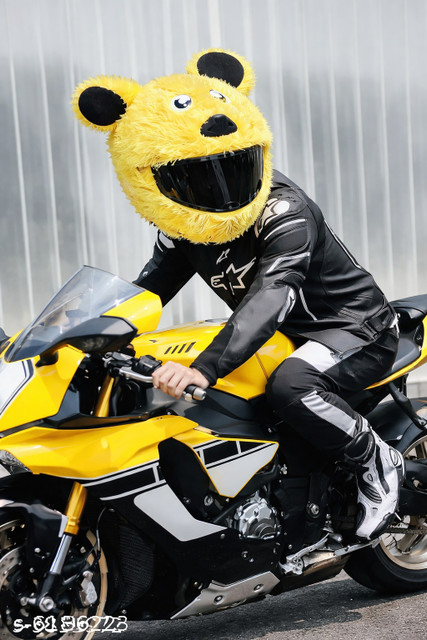 IDEALイエローバニー SRPHERE YELLOW BUNNY RB 01 UNIVERSAL FIT HELMET COVER Helmet