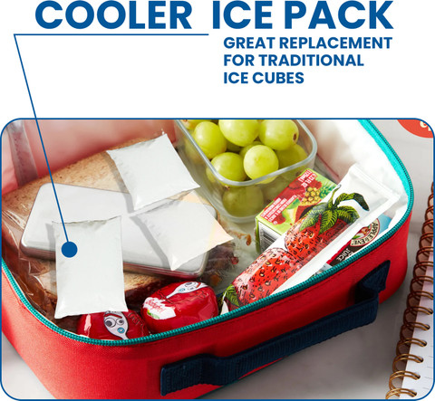 Ecommercehub Ice Packs for Shipping Food, Medicine Transport Ice