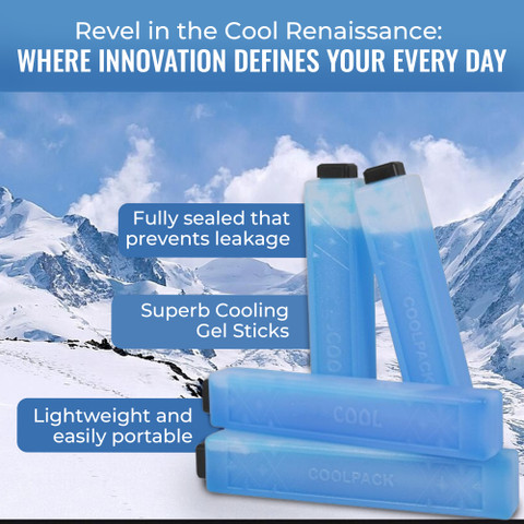 Ecommercehub 1 L Plastic Ice Packs for Coolers Reusable Long