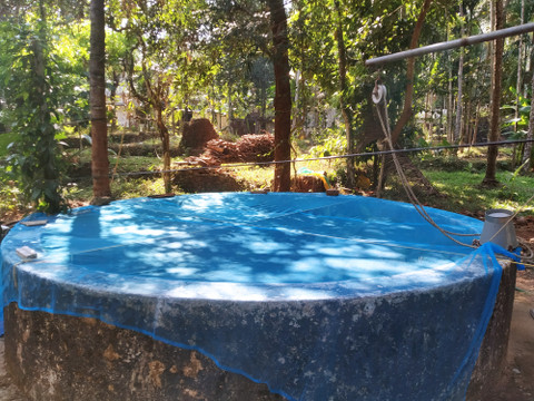 IABA Open Well Covering Net, Small mesh, Premium quality, 4 x 4