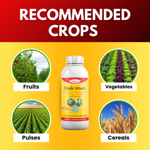 katyayani Triple Attack | Used for protection of plants - Buy Baby